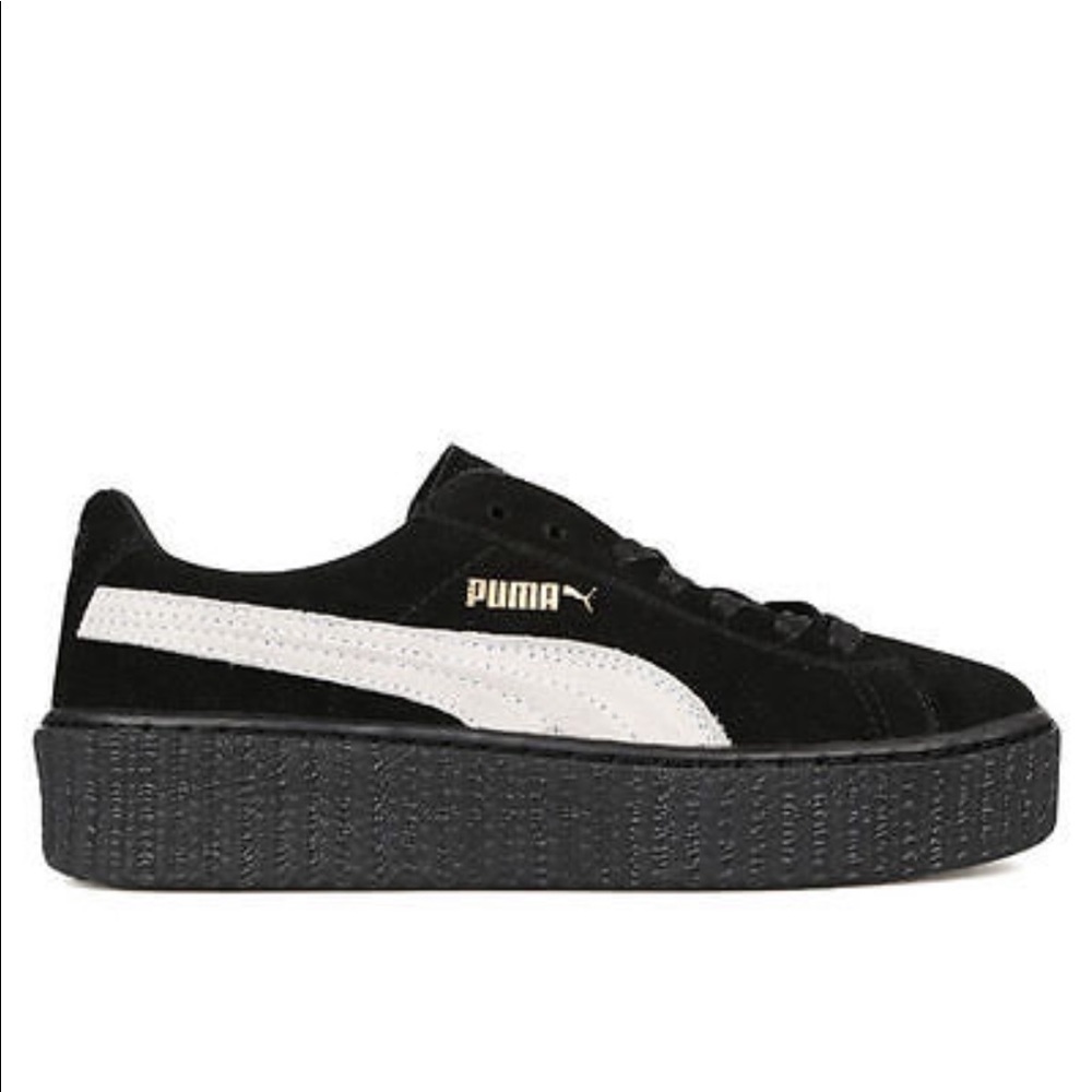 Black and white Puma creeper